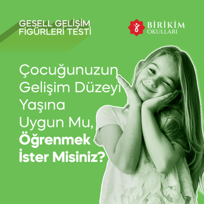 Gelişim Düzeyi